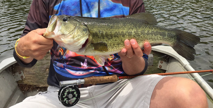 Warm Water Fish...Bass and Walleye