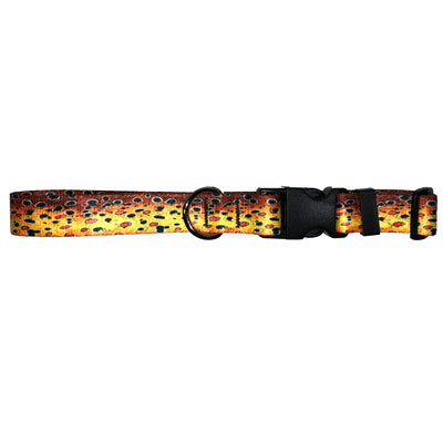 Brown Trout2 Dog Collar