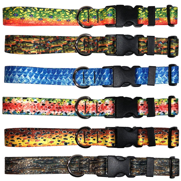 Rainbow trout dog collar best sale