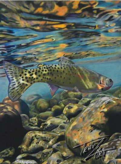 Freestone Cutthroat Trout by Travis Sylvester
