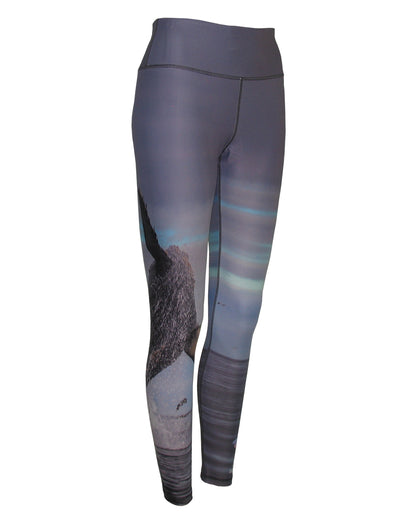 Breech Whale surfing and diving beach leggings offer sun protection, perfect for a day at the beach or on the ocean.