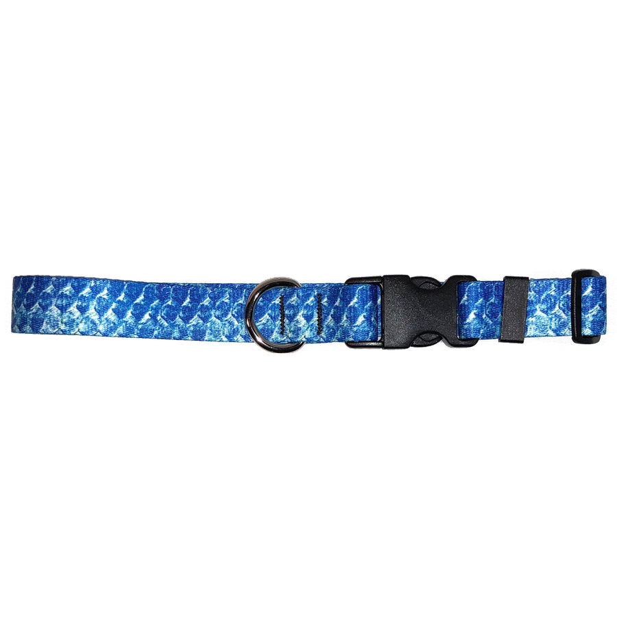 Tarpon Dog Collar